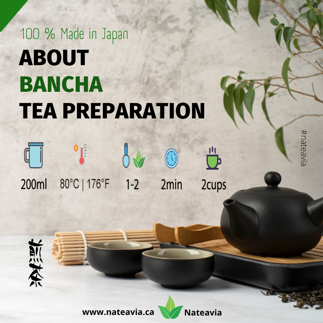 Organic Japanese Bancha Tea, Loose Leaf Green Tea from Kagoshima, Light Taste, Low Caffeine, 100g – Nateavia