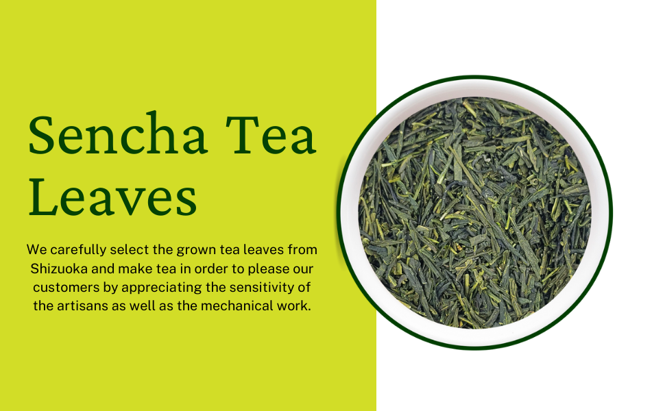 Organic Japanese Sencha Green Tea, Yabukita Cultivar, Loose Leaf First Flush from Shizuoka, Fresh & Vibrant, 80g Nateavia