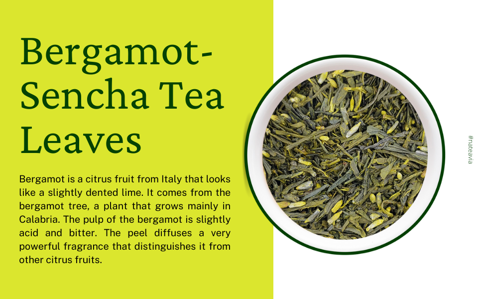Organic Japanese Sencha with Bergamot and Lavender, First Flush Loose Leaf Green Tea from Shizuoka, 50g Nateavia