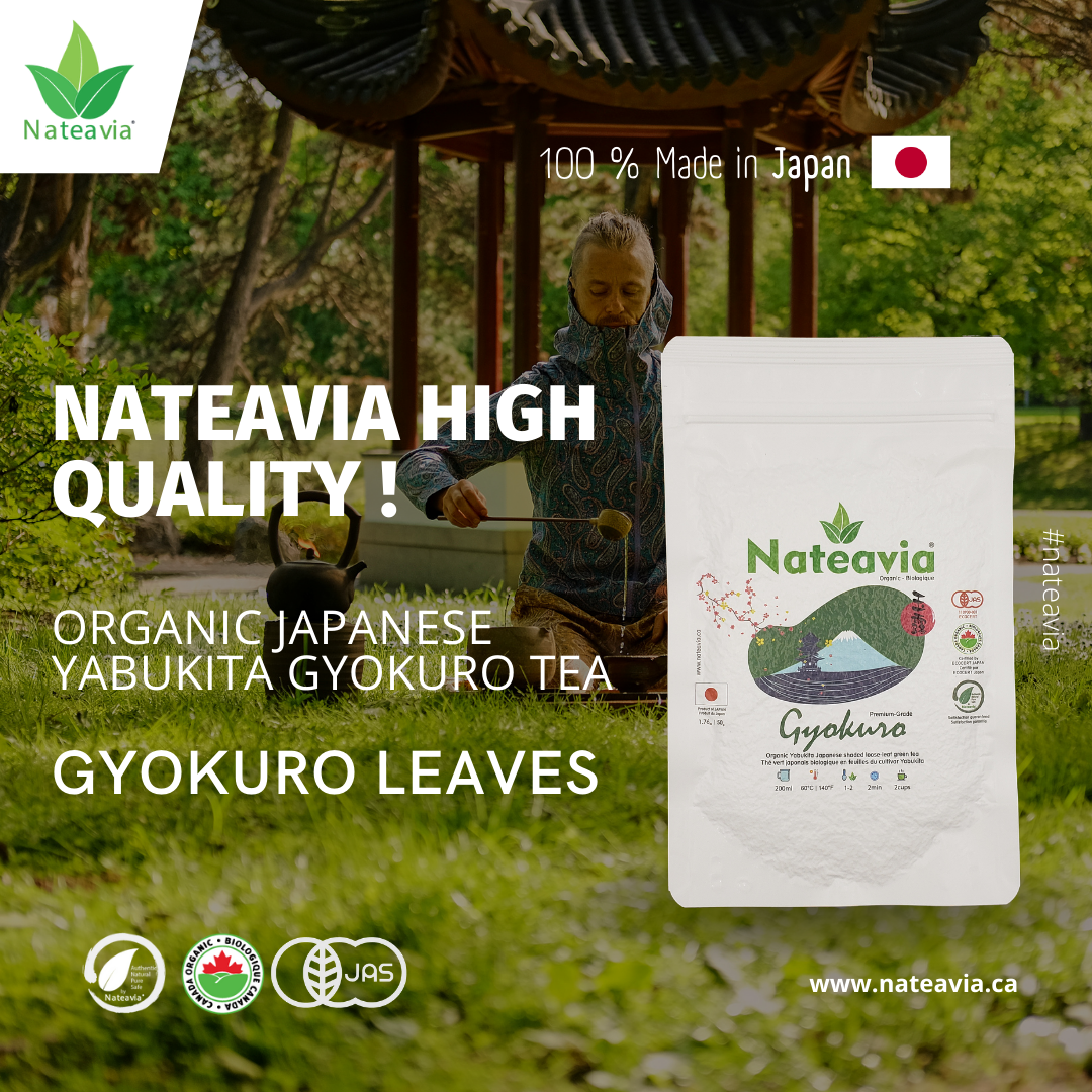 Organic Japanese Gyokuro Tea, Saemidori cultivar, Loose Leaf Green Tea from Kagoshima, Smooth Taste, Premium Grade, 50g, Nateavia