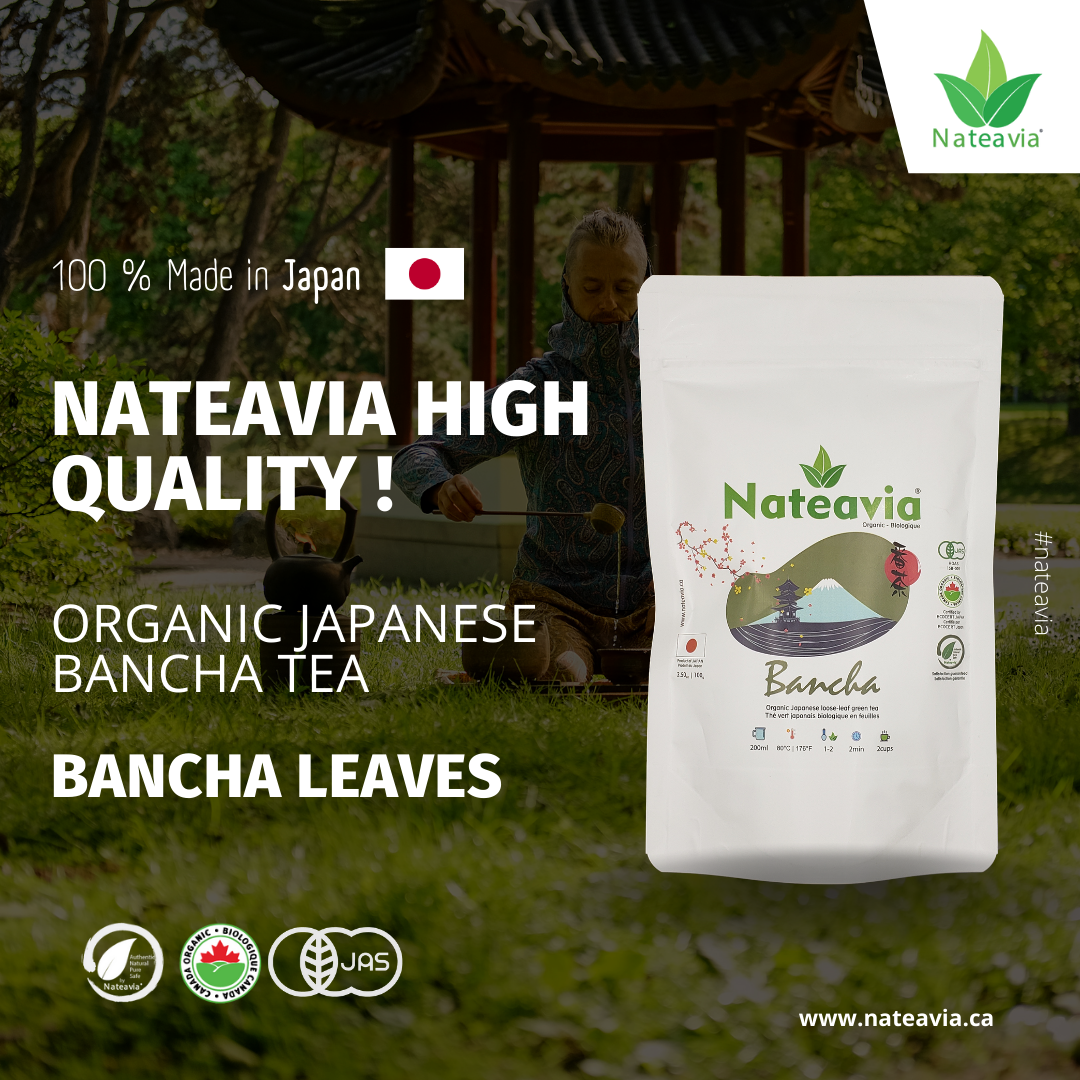 Organic Japanese Bancha Tea, Loose Leaf Green Tea from Kagoshima, Light Taste, Low Caffeine, 100g – Nateavia