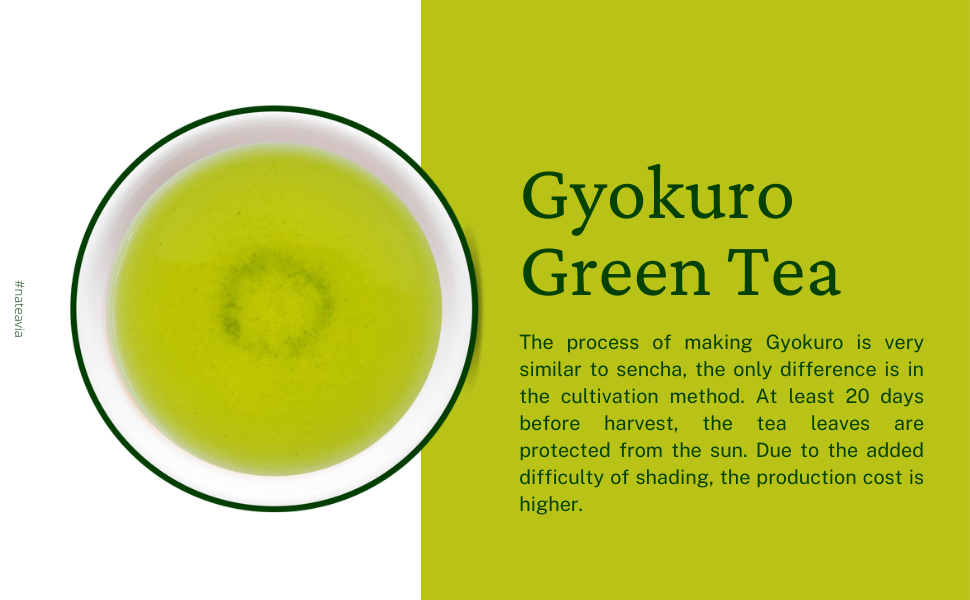 Organic Japanese Gyokuro Tea, Saemidori cultivar, Loose Leaf Green Tea from Kagoshima, Smooth Taste, Premium Grade, 50g, Nateavia