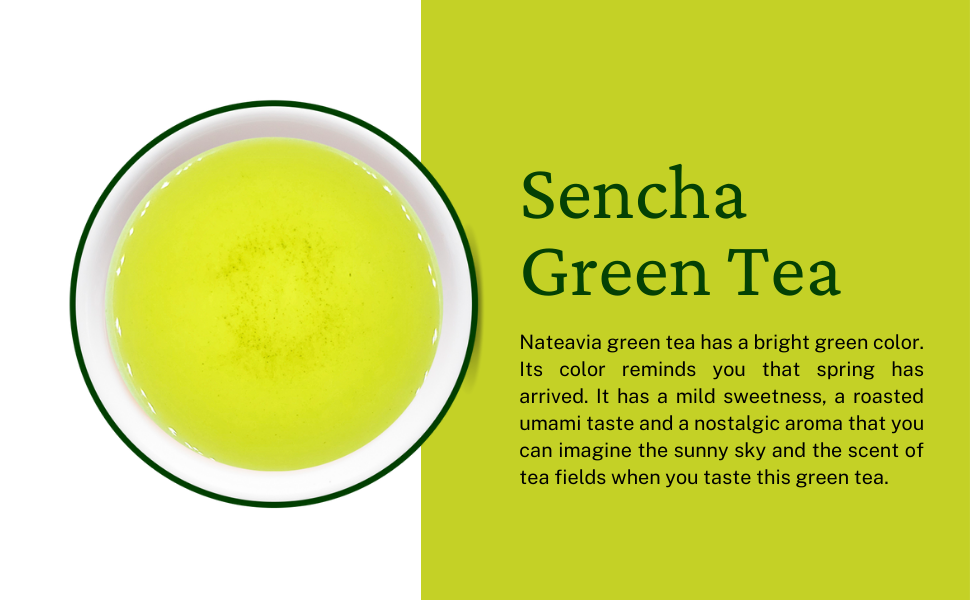 Organic Japanese Sencha Green Tea – Loose Leaf First Flush from Shizuoka | Yabukita Cultivar, Fresh & Vibrant, 1kg – Nateavia