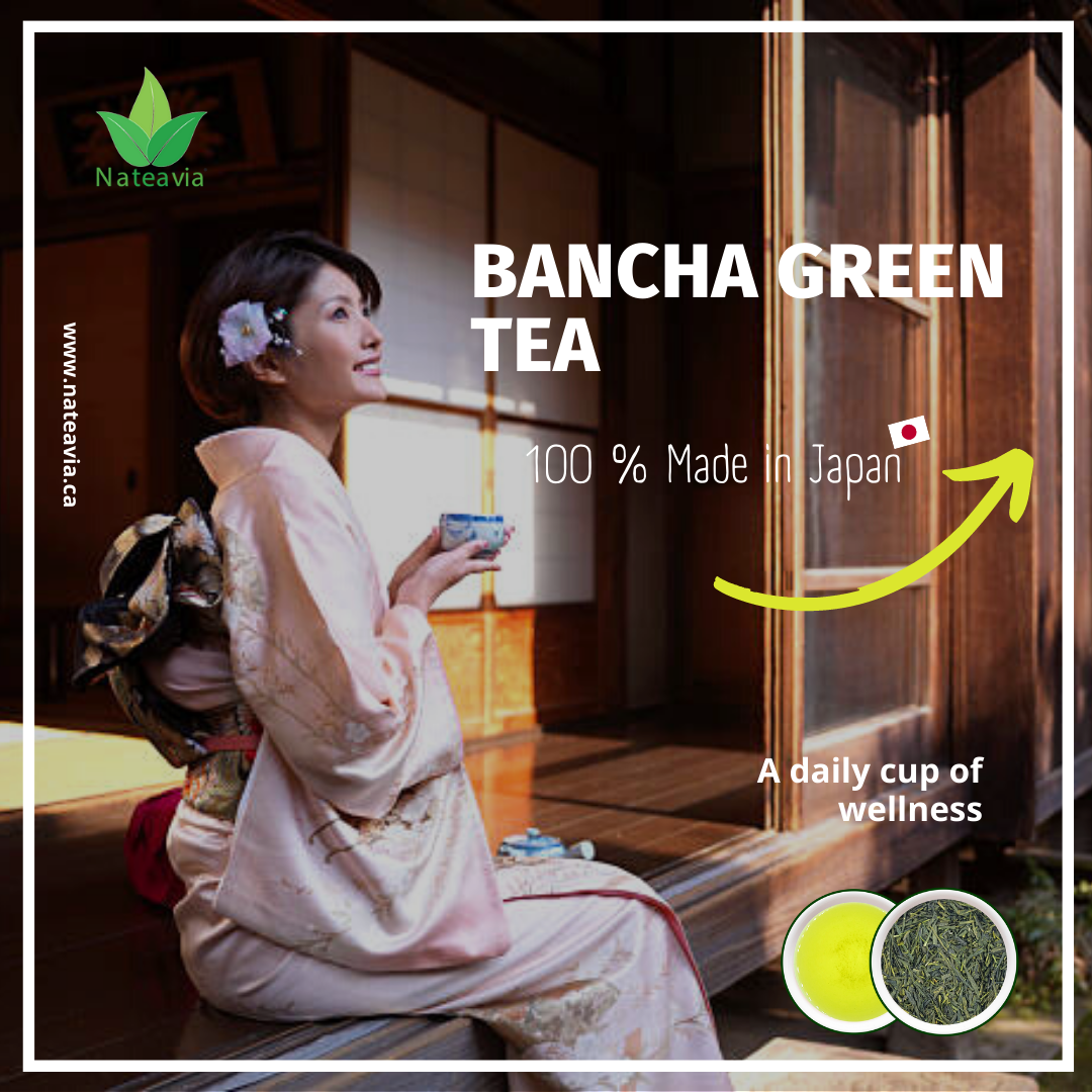 Organic Japanese Bancha Tea, Loose Leaf Green Tea from Kagoshima, Light Taste, Low Caffeine, 100g – Nateavia