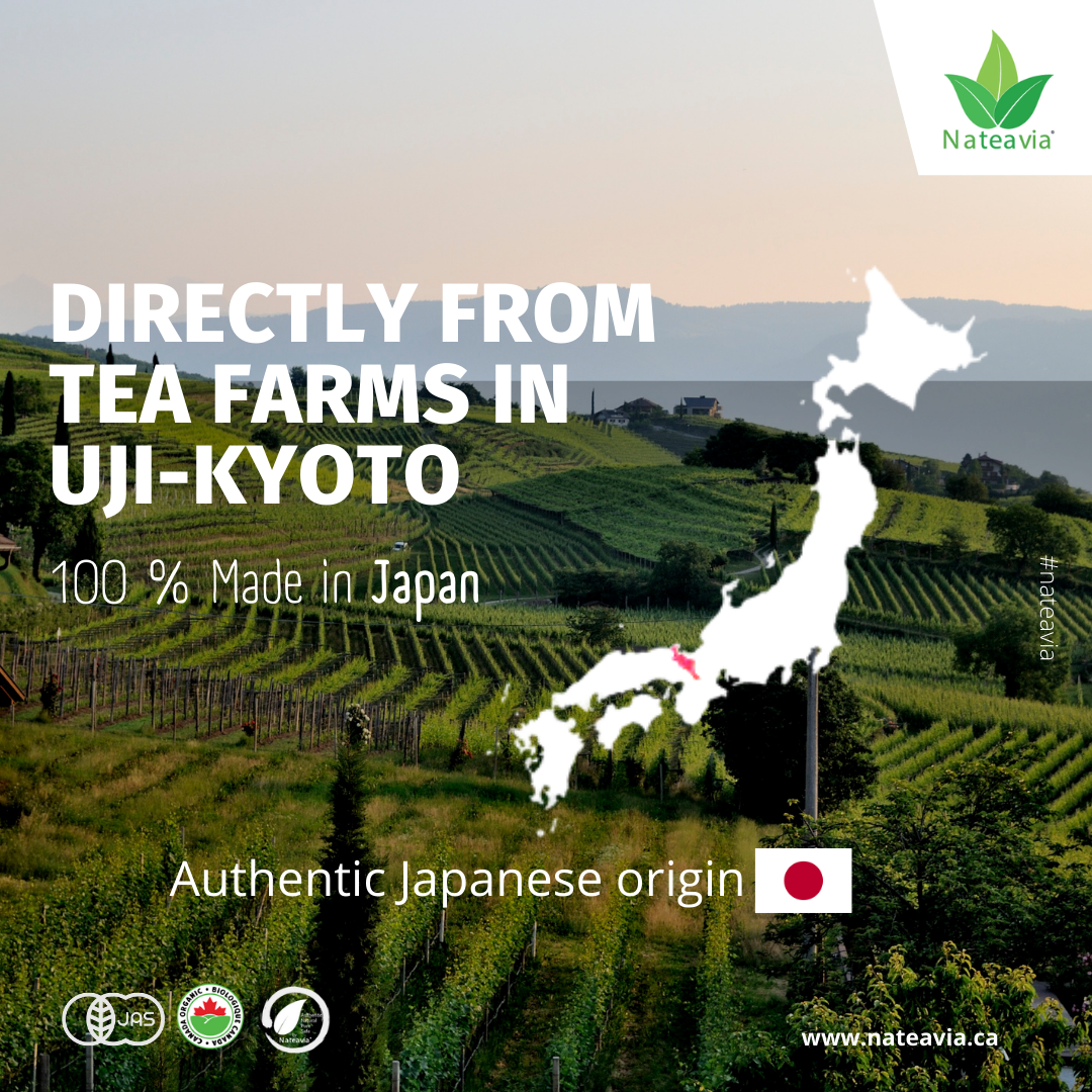 Organic Japanese Matcha Powder – Café Grade, Finely Ground, Smooth & Umami-Rich | Shizuoka Origin, 50g – Nateavia