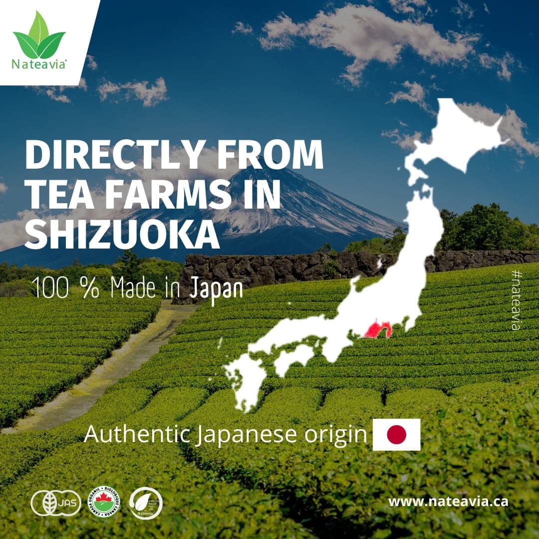 Organic Japanese Sencha Green Tea – Loose Leaf First Flush from Shizuoka | Yabukita Cultivar, Fresh & Vibrant, 1kg – Nateavia
