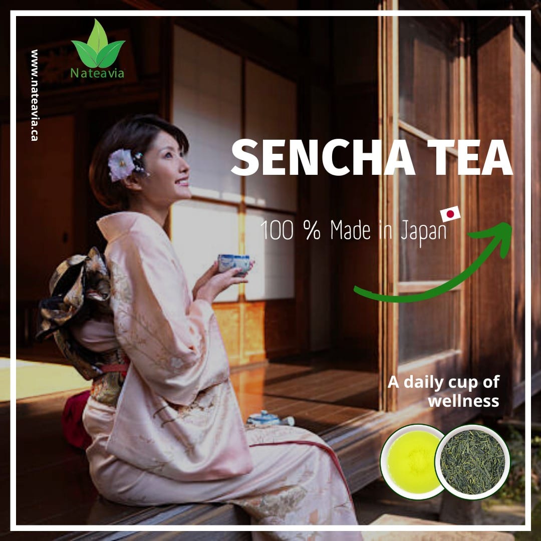 Organic Japanese Sencha Green Tea – Loose Leaf First Flush from Shizuoka | Yabukita Cultivar, Fresh & Vibrant, 1kg – Nateavia